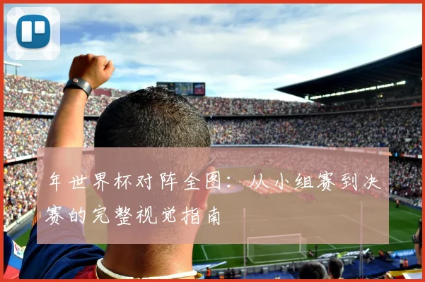 年世界杯对阵全图：从小组赛到决赛的完整视觉指南
