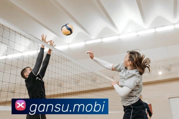 beat365官方网站入口APP 封面图